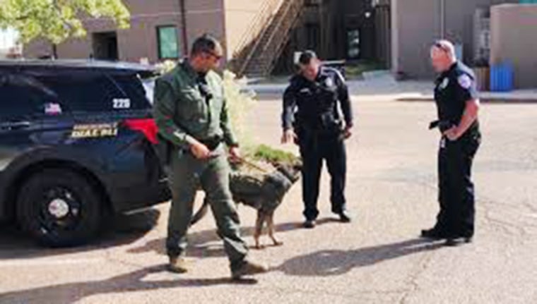 A Santa Fe law enforcement officer presents Police K-9 Ayke to other officers on Ayke's very first day with SFPD.