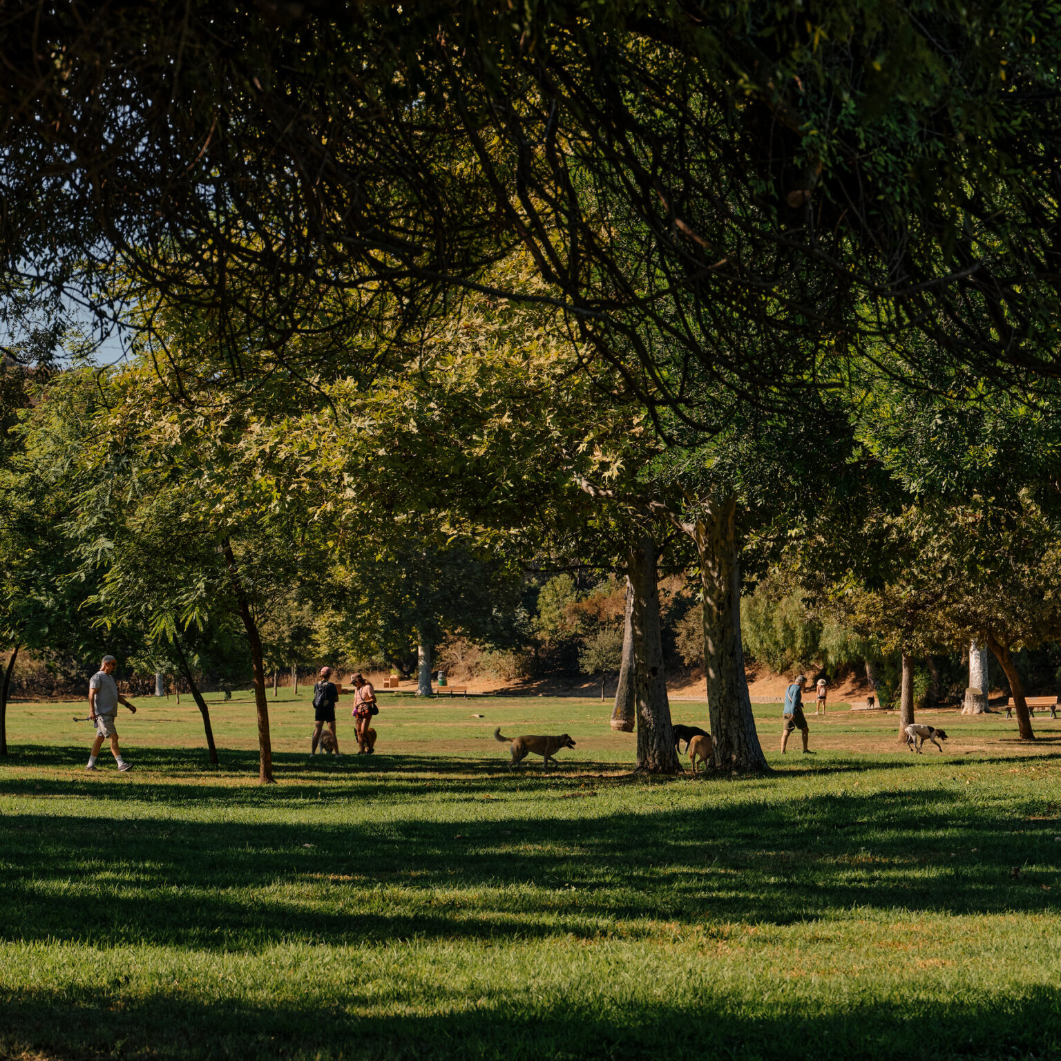 California Can Ban Guns in Parks and Bars, but Not Hospitals, Court Says